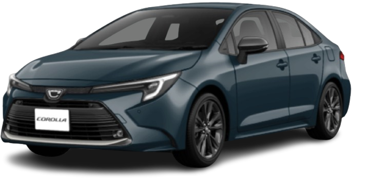 corolla WxB touka