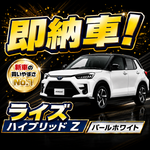 ライズ　LP
